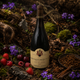 2009 Domaine Ponsot Morey St. Denis 1er Cru Cuvée des Alouettes